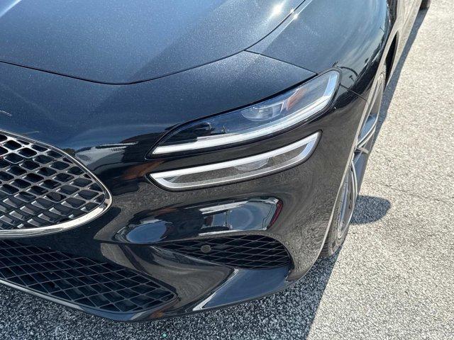 Photo of 2024 Vik Black Genesis G70