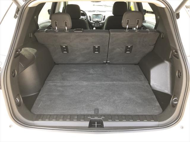 Photo of 2018 Iridescent Pearl Tricoat Chevrolet Equinox