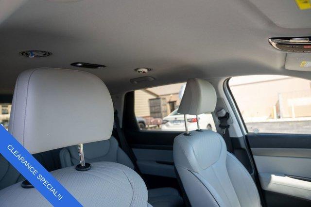 Photo of 2023 Typhoon Silver Hyundai PALISADE