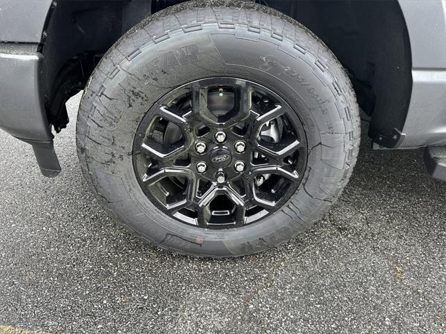 Photo of 2025 Carbonized Gray Metallic Ford F-150