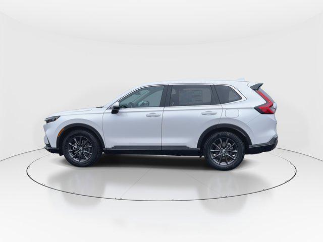 Photo of 2026 Platinum White Pearl Honda CR-V
