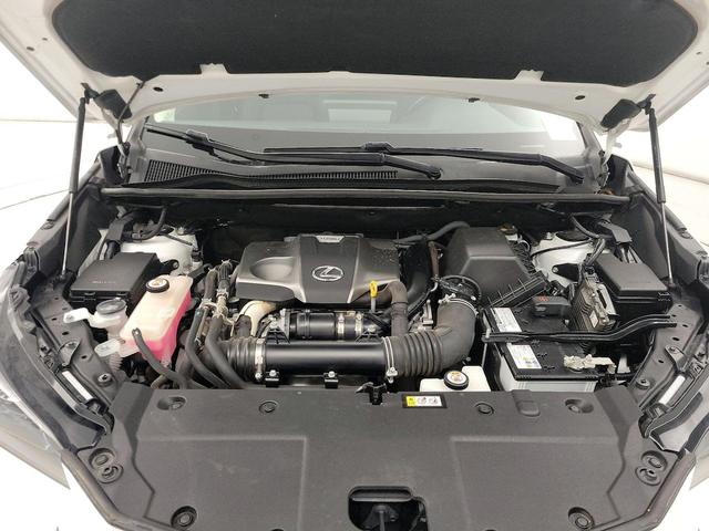 Photo of 2020 White Lexus NX 300