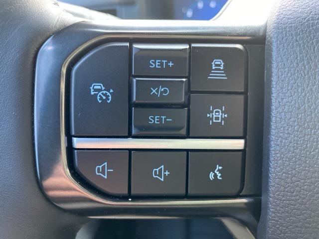 Photo of 2025 Black Metallic Ford F-150