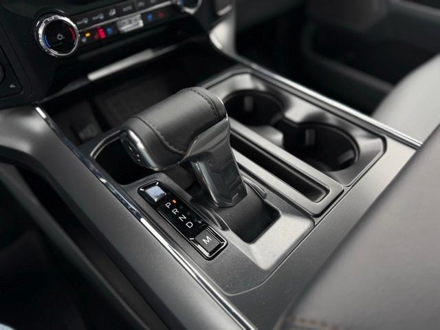 Photo of 2025 Black Metallic Ford F-150