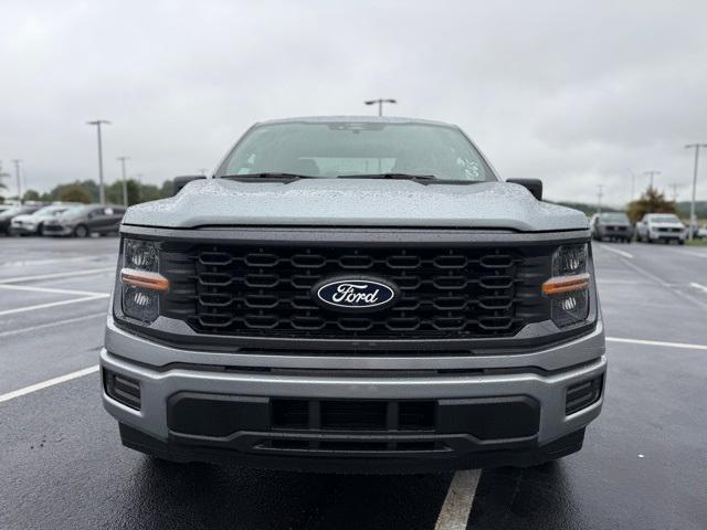 Photo of 2025 Silver Metallic Ford F-150