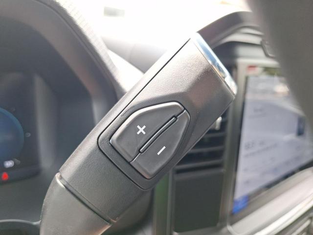 Photo of 2024 Gray Metallic Ford F-150