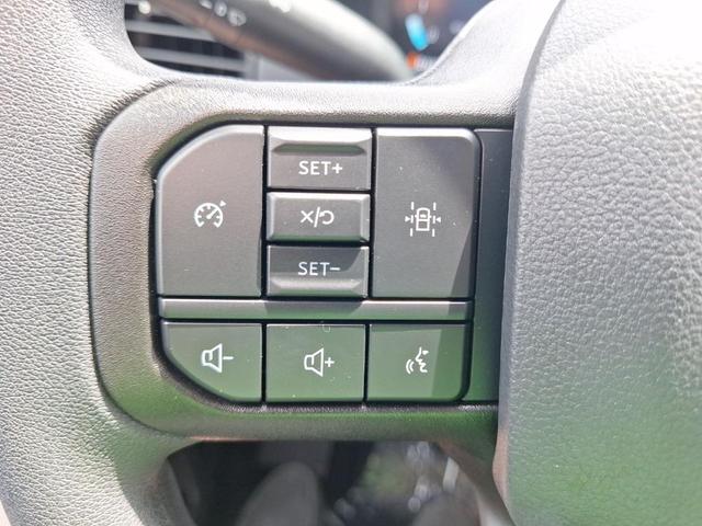 Photo of 2024 Gray Metallic Ford F-150