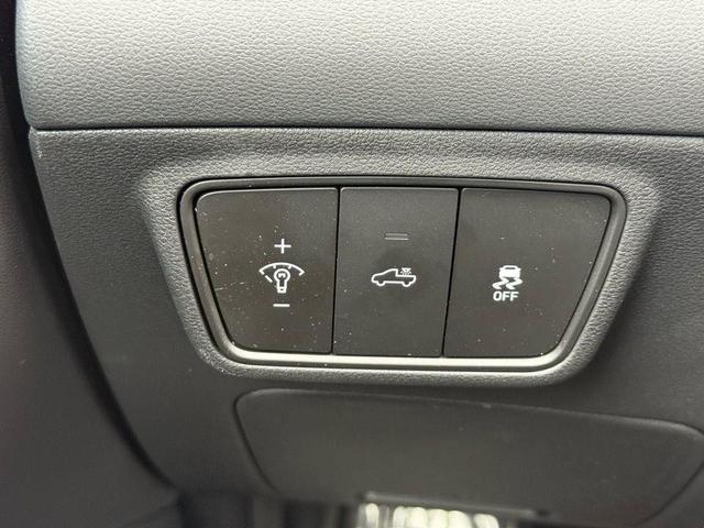 Photo of 2024 Sage Gray Hyundai SANTA CRUZ