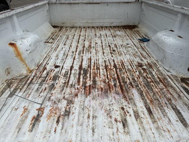 Photo of 1995 White Ford F-150