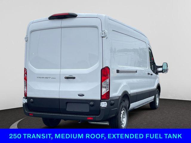 Photo of 2025 Oxford White Ford Transit-250