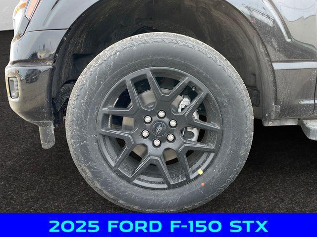 Photo of 2025 Black Metallic Ford F-150