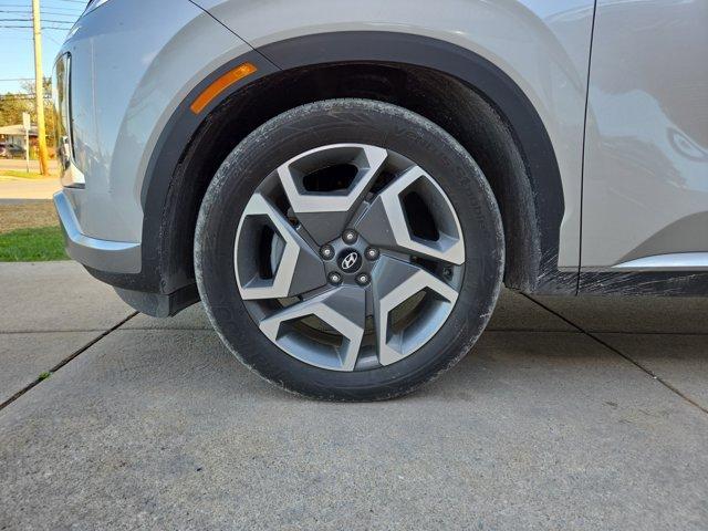 Photo of 2024 Silver Hyundai PALISADE