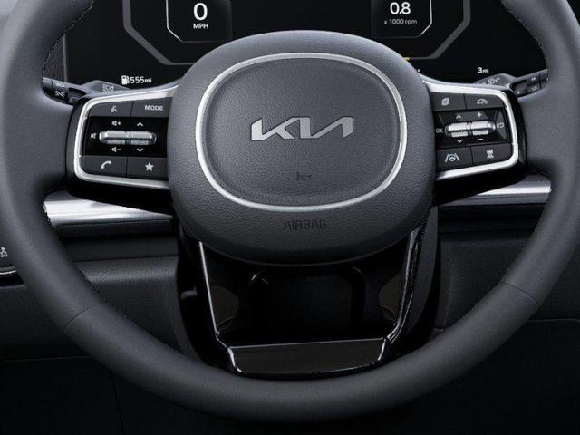 Photo of 2026 Panthera Metal Kia Carnival Hybrid