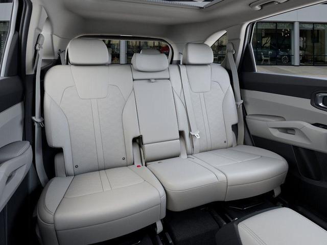 Photo of 2025 Panthera Metal Kia Sorento