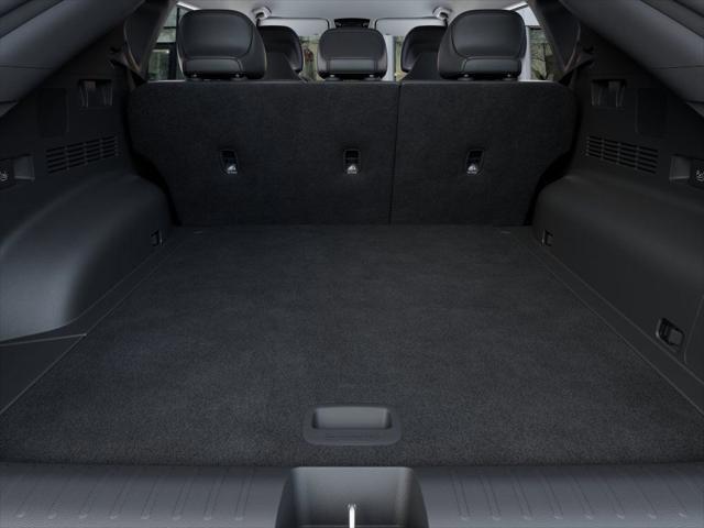 Photo of 2025 Panthera Metal Kia EV6