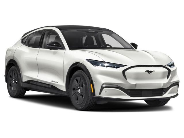 Photo of 2025 Shadow Black Ford Mustang Mach-E