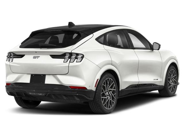 Photo of 2025 Gray Metallic Ford Mustang Mach-E