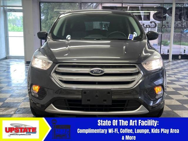 Photo of 2019 Magnetic Ford Escape