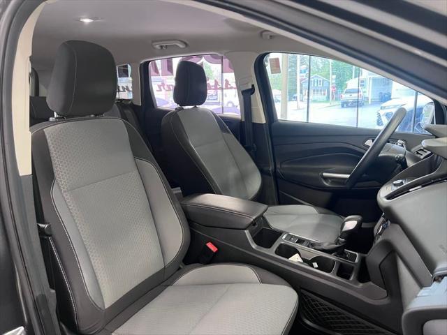 Photo of 2019 Magnetic Ford Escape