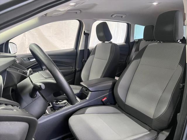 Photo of 2019 Magnetic Ford Escape