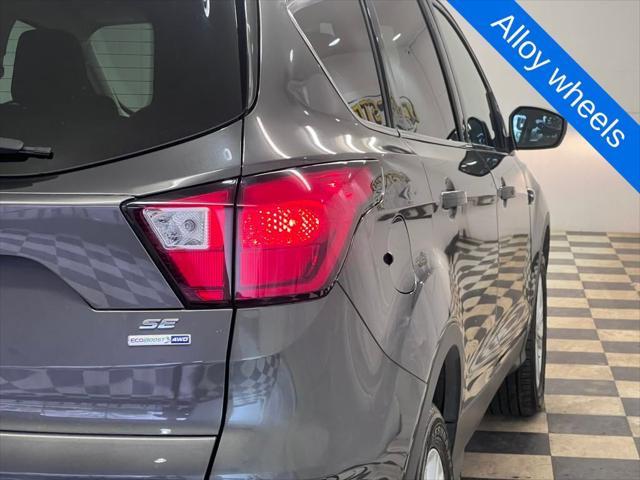 Photo of 2019 Magnetic Ford Escape