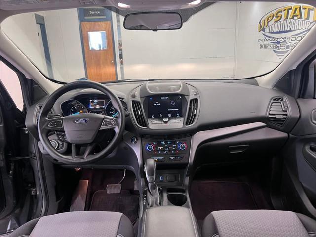 Photo of 2019 Magnetic Ford Escape