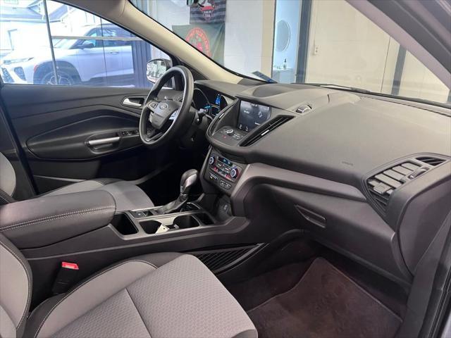 Photo of 2019 Magnetic Ford Escape