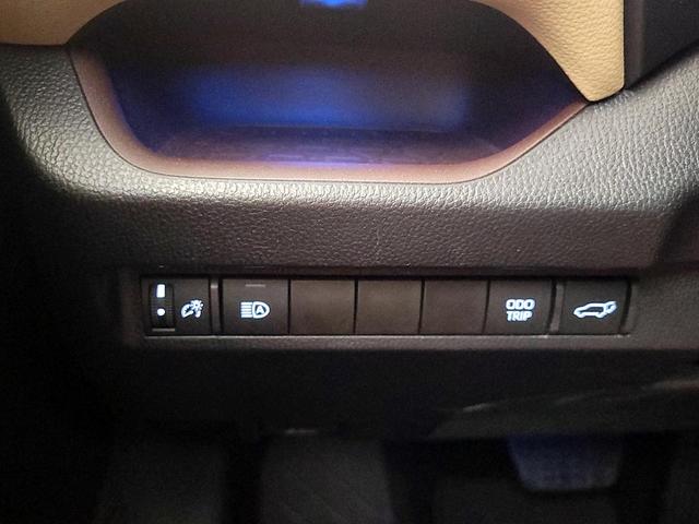 Photo of 2024 Red Toyota RAV4