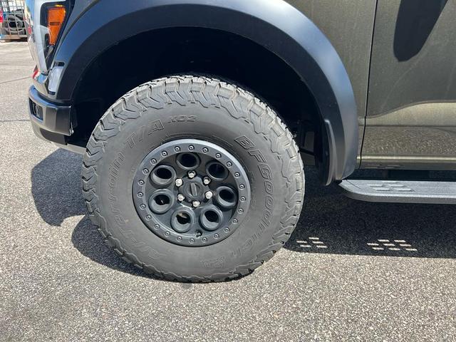 Photo of 2025 Shelter Green Ford F-150