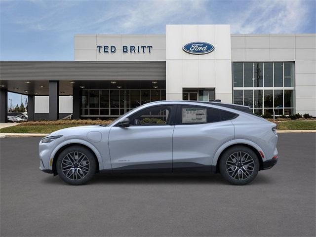 Photo of 2025 Gray Metallic Ford Mustang Mach-E