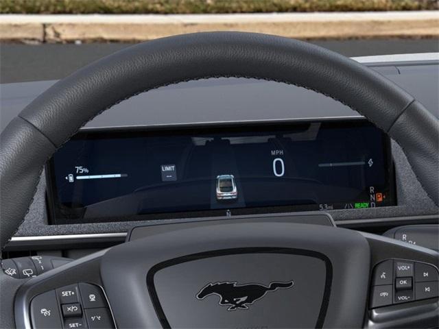 Photo of 2025 Gray Metallic Ford Mustang Mach-E