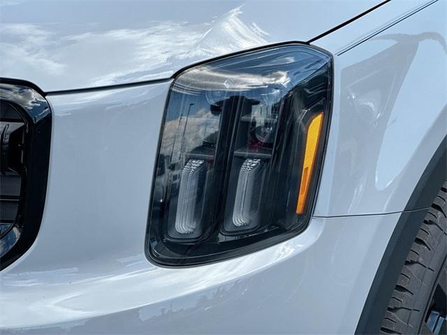 Photo of 2024 Wolf Gray Kia Telluride