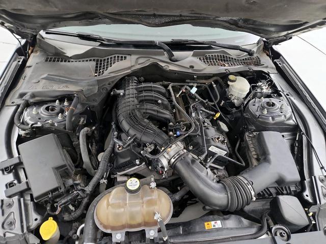 Photo of 2015 Gray Ford Mustang