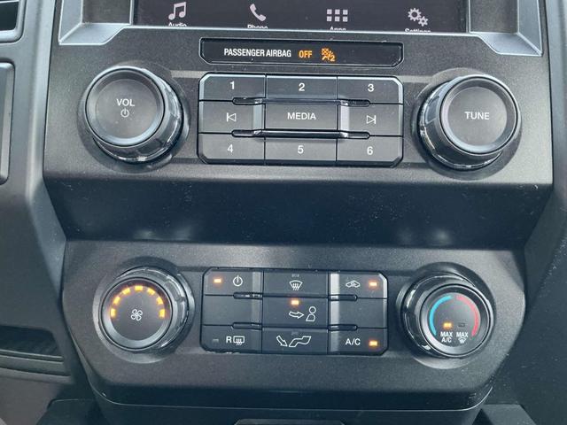 Photo of 2019 Magnetic Ford F-150