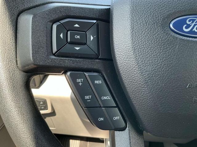 Photo of 2019 Magnetic Ford F-150