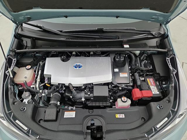 Photo of 2019 Green Toyota Prius