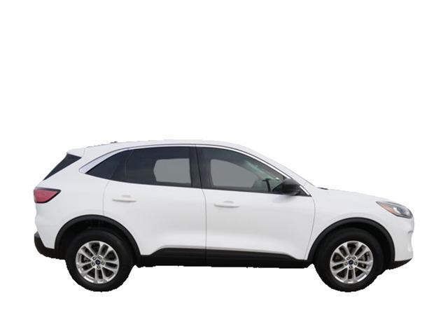 Photo of 2022 Oxford White Ford Escape