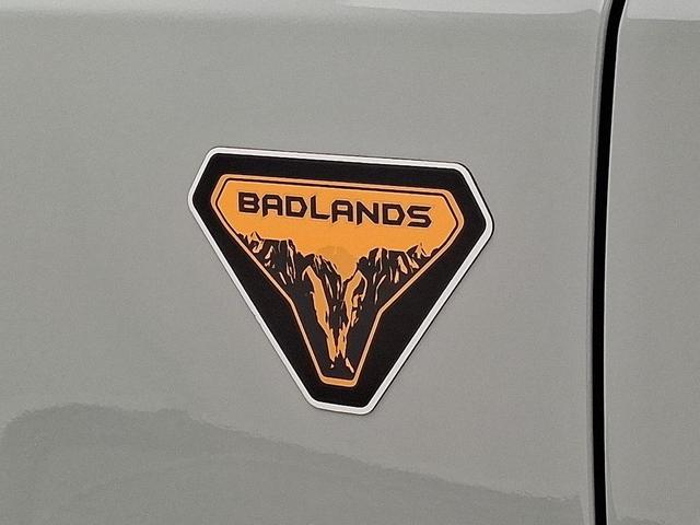 Photo of 2022 CACTUS GRAY Ford Bronco