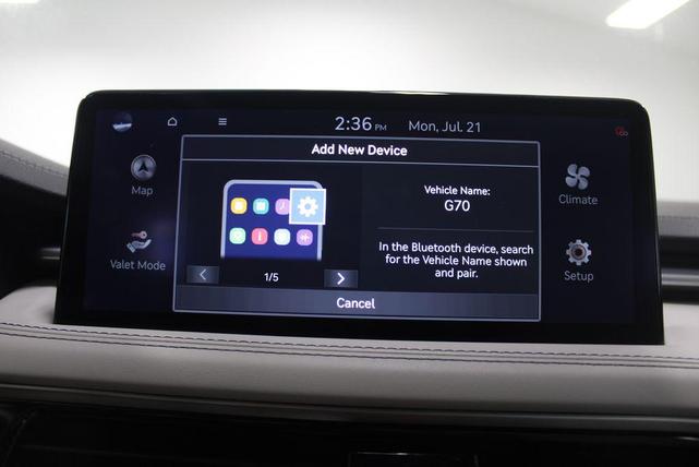 Photo of 2024 Vik Black Genesis G70