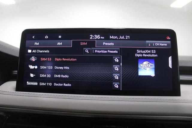 Photo of 2024 Vik Black Genesis G70
