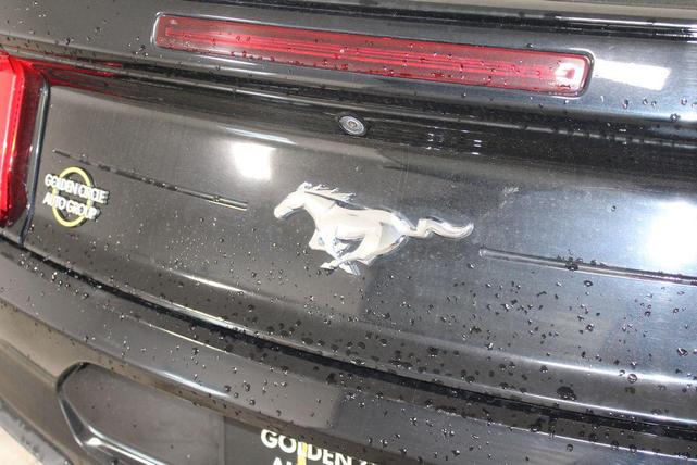 Photo of 2023 SHADOW BLACK Ford Mustang