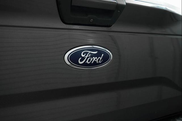 Photo of 2016 Magnetic Ford F-150
