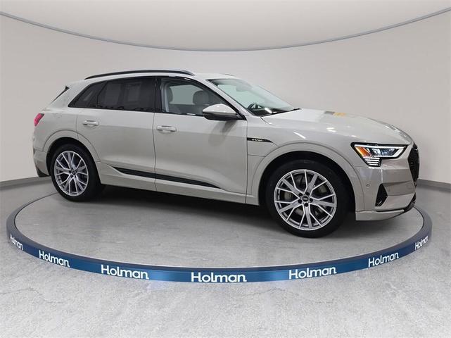 Photo of 2021 Siam Beige Metallic Audi e-tron