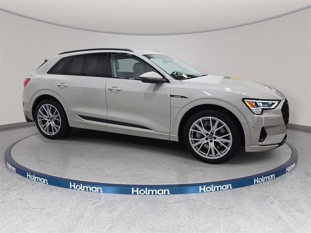 Photo of 2021 Siam Beige Metallic Audi e-tron
