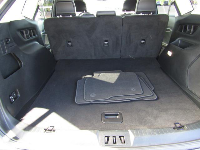 Photo of 2019 Magnetic Ford Edge