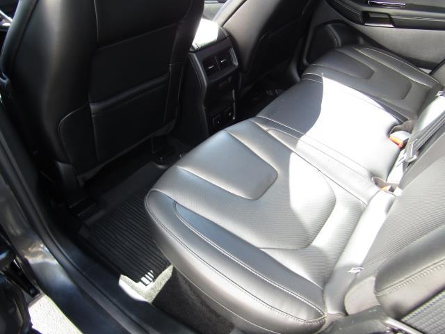 Photo of 2019 Magnetic Ford Edge