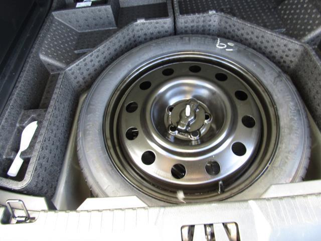 Photo of 2019 Magnetic Ford Edge