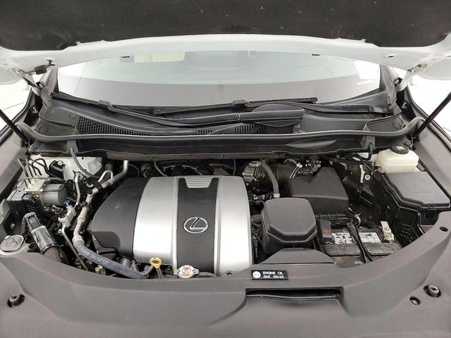 Photo of 2022 White Lexus RX 350