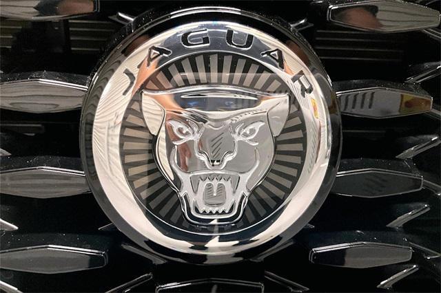 Photo of 2025 Fuji White Jaguar F-PACE