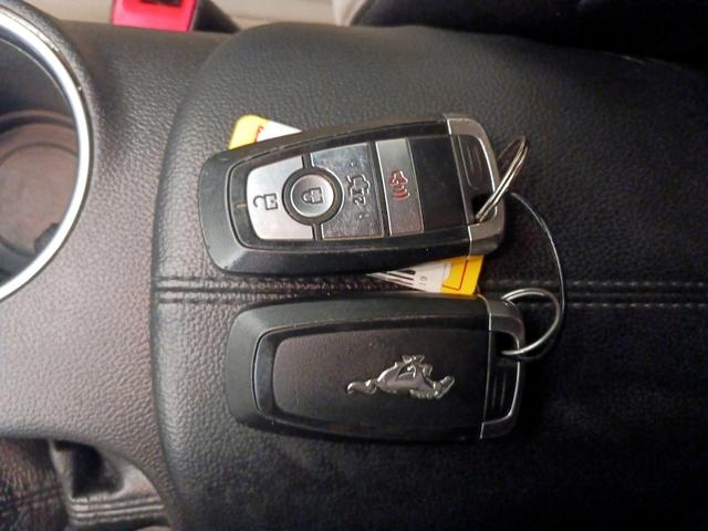 Photo of 2019 Silver Ford Mustang